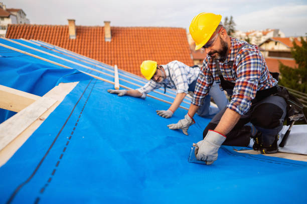 Best Roof Moss and Algae Removal  in Fivepointville, PA