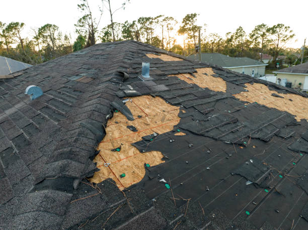 Best Steel Roofing  in Fivepointville, PA
